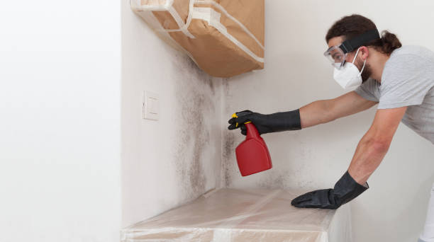 Professional Bathroom Mold Removal technician working in Trenton, TN